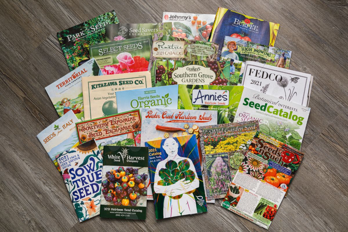 A collection of spring seed and flower catalogs