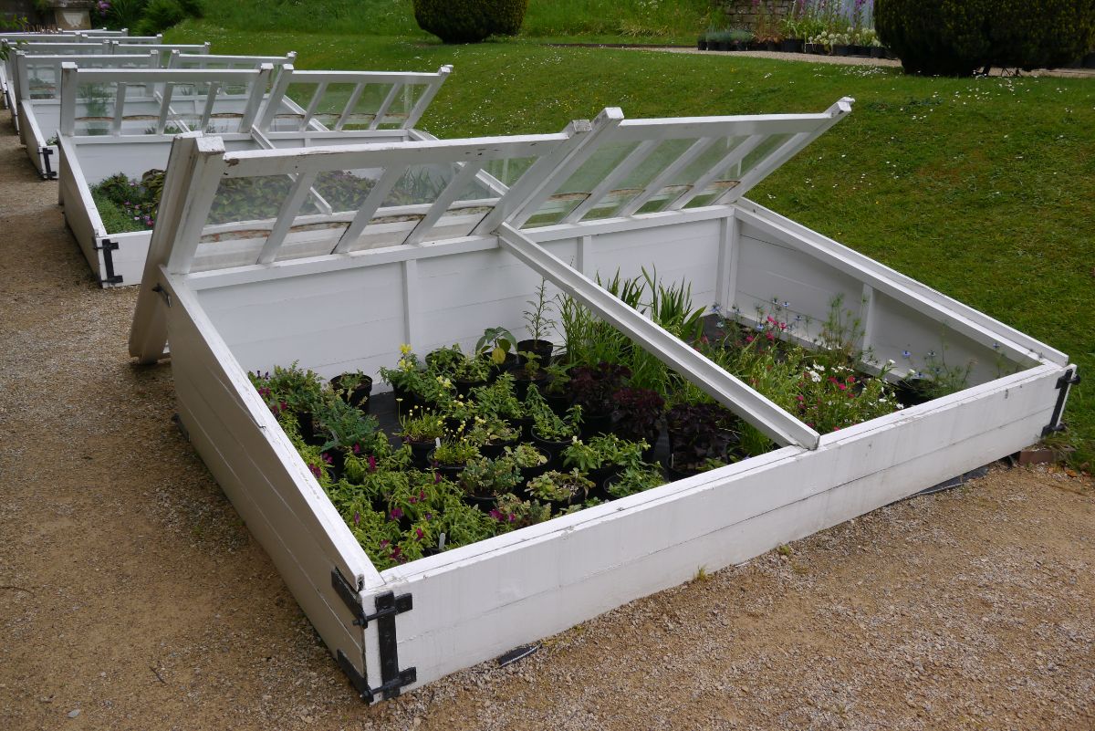 Cold frames for early spring plant growing