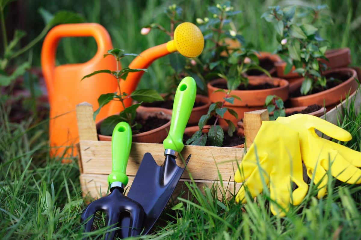 An organic gardener's toolbox ready for action