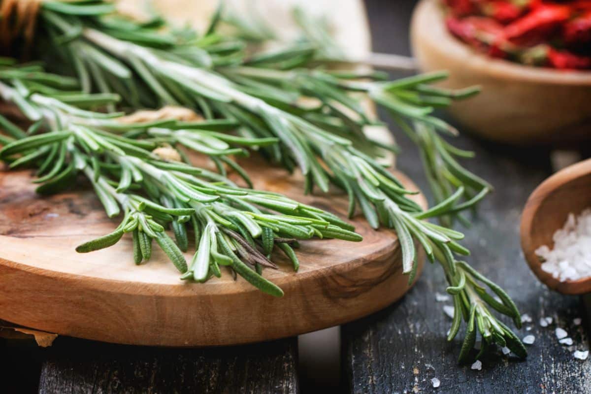 Fresh rosemary set out on a cutting board