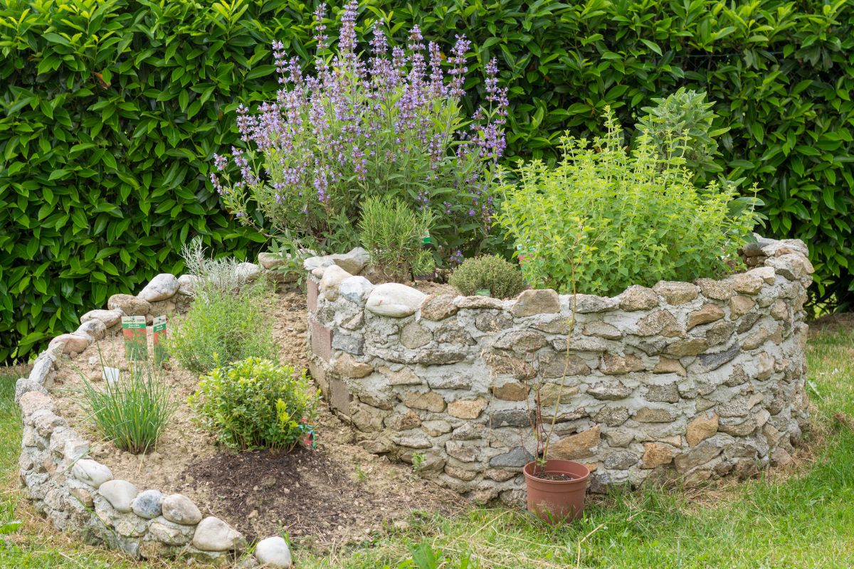 A spiral rock herb garden built as a raised bed garden