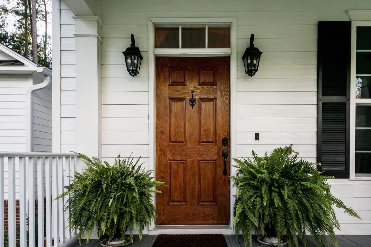 Two beautiful potted Boston ferns flanking an entry door