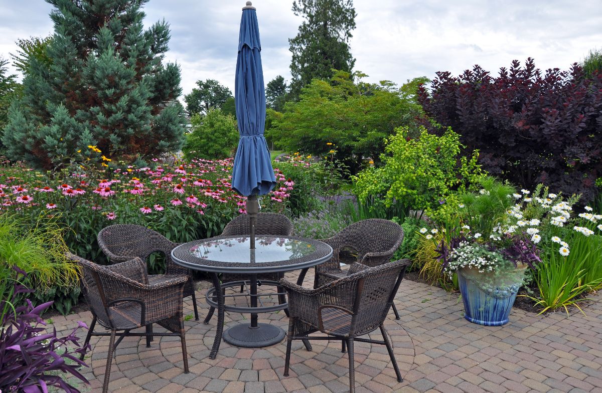 Purple coneflowers planted in a perennial bed bordering a patio