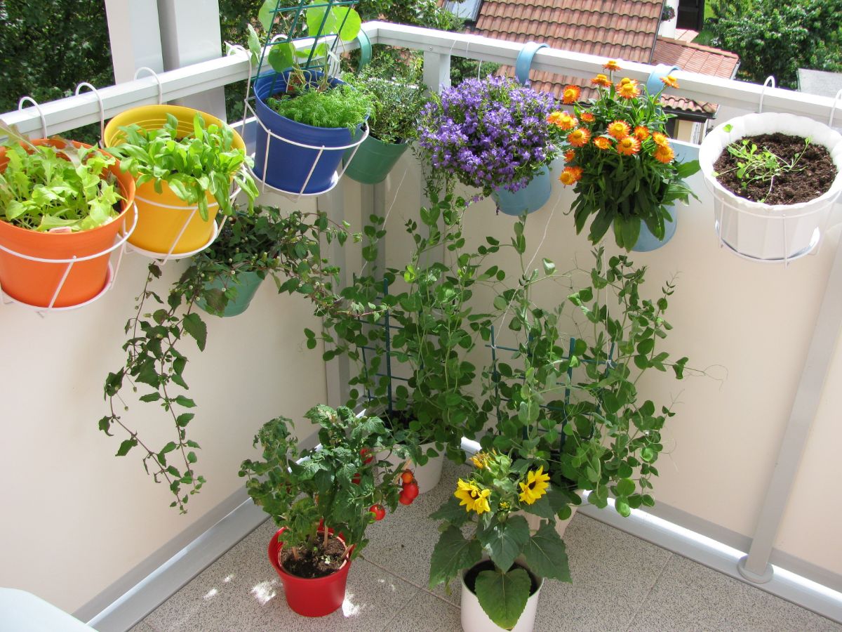 An outdoor balcony corner planted with hanging vegetable baskets