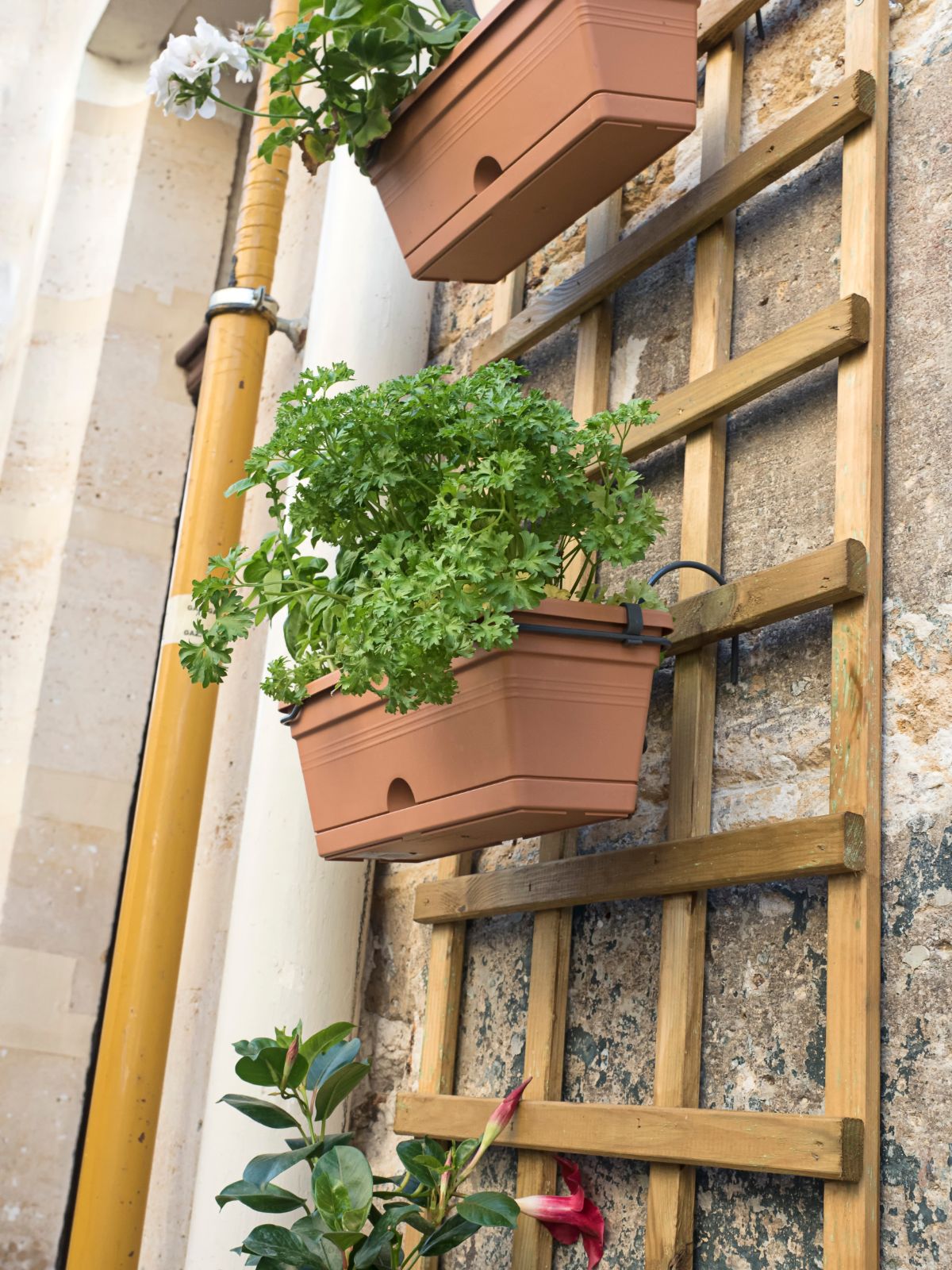 Garden trellis with planted hanging boxes