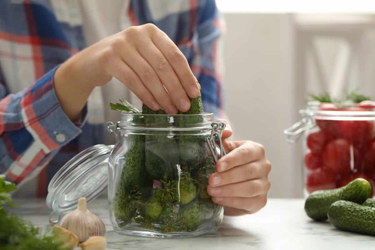 Woman packing a jar with cucumbers and dill to make pickles