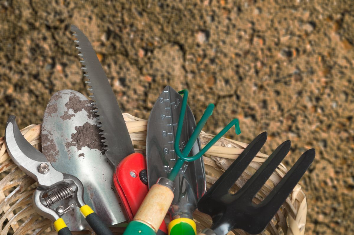 A basket full of various garden tools