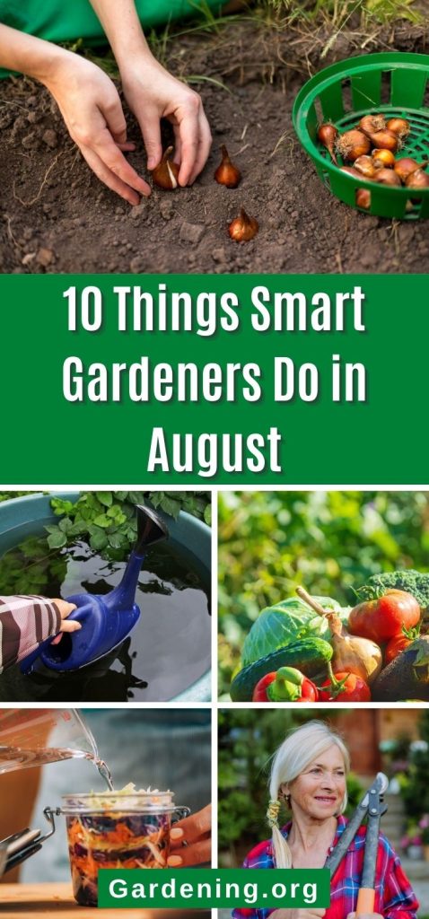 10 Things Smart Gardeners Do in August pinterest image.