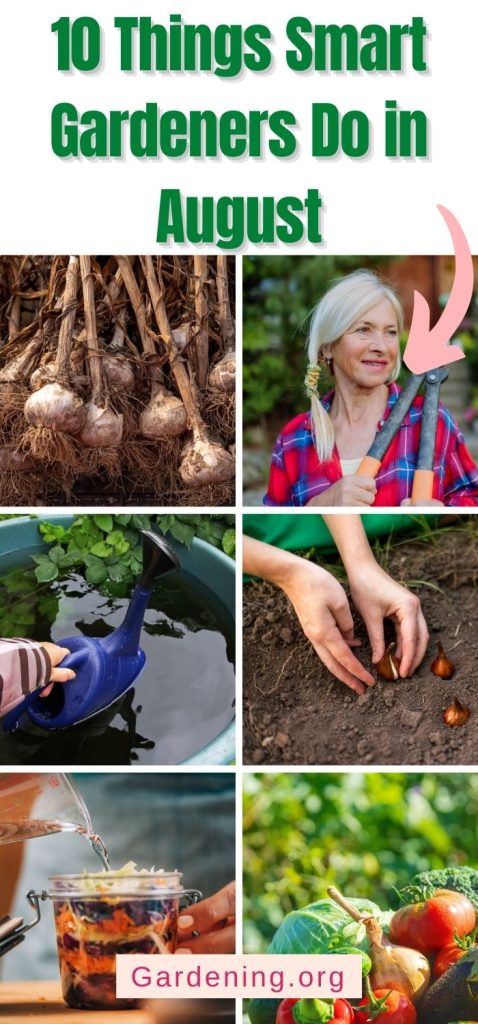 10 Things Smart Gardeners Do in August pinterest image.