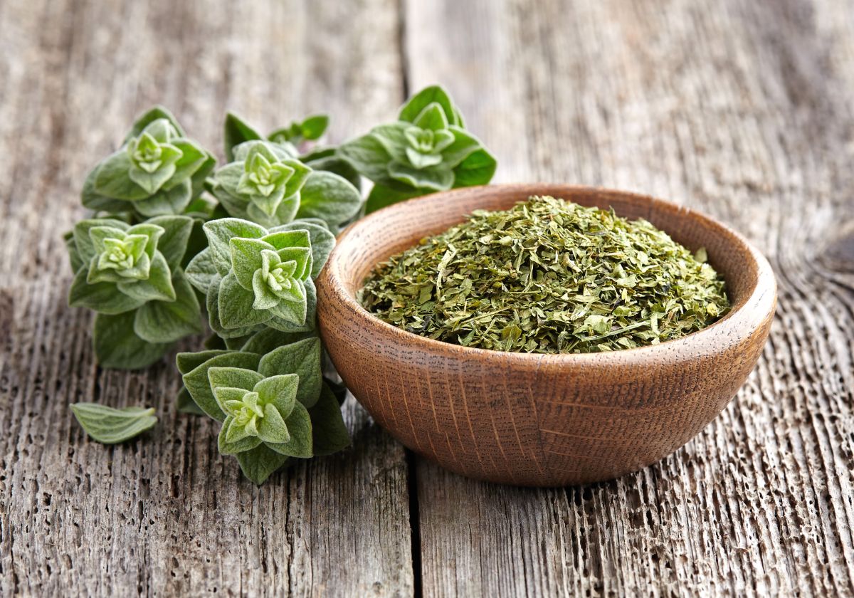 A bowl of dried homegrown oregano