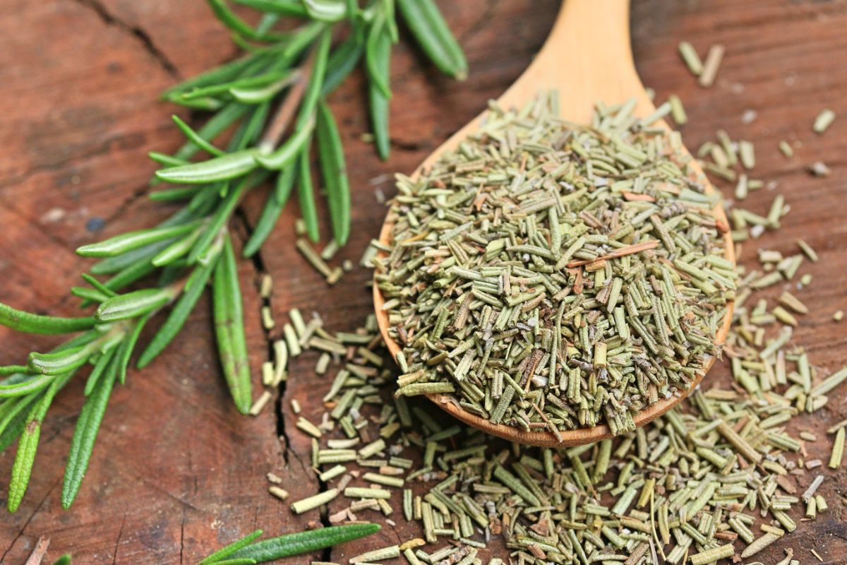 Crushed dried rosemary leaves