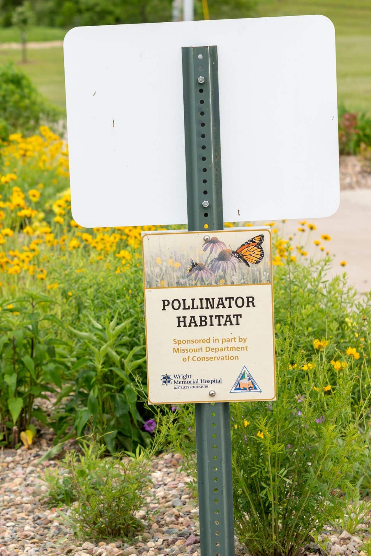 A sign designates an area as a pollinator and hummingbird habitat