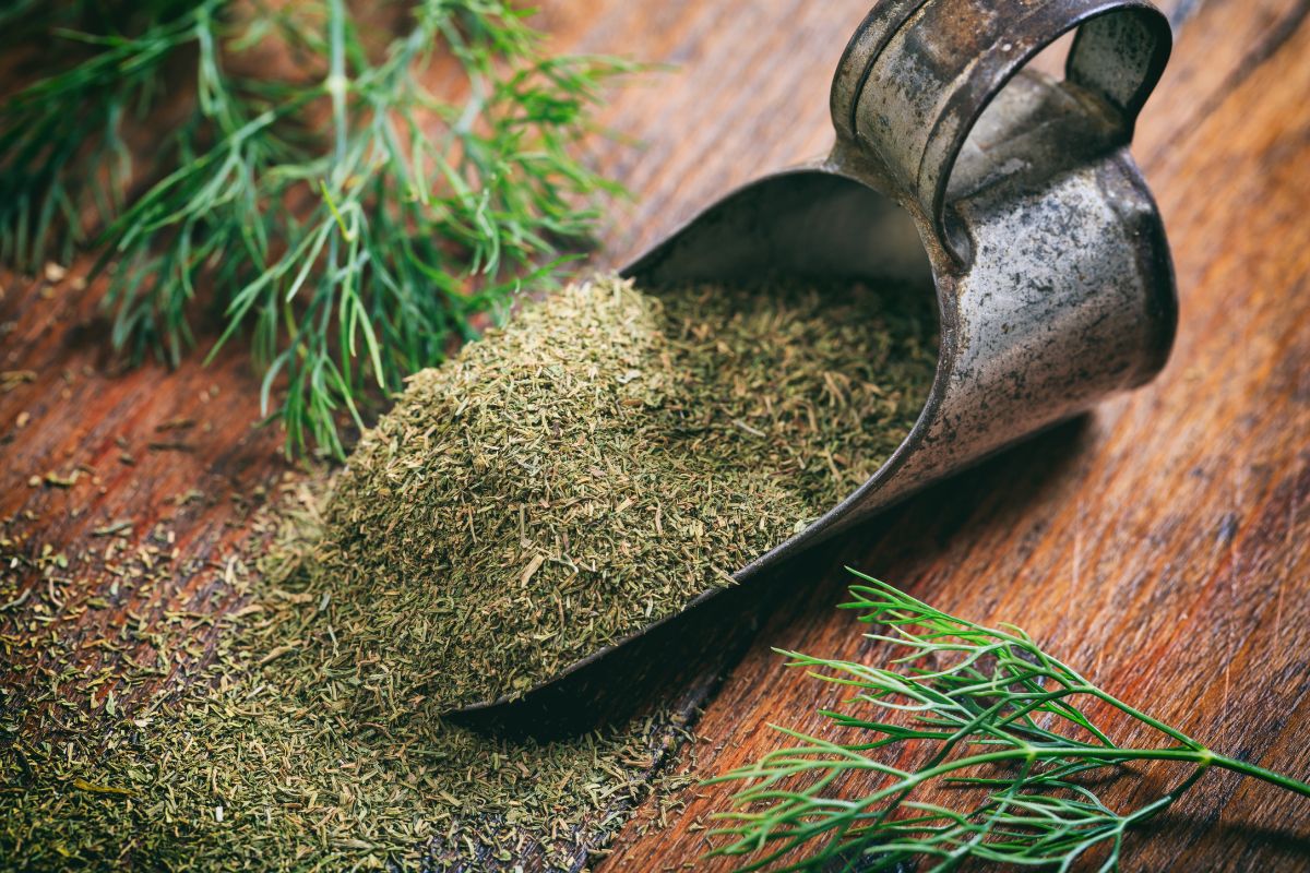 A scoop spilling out dried dill weed