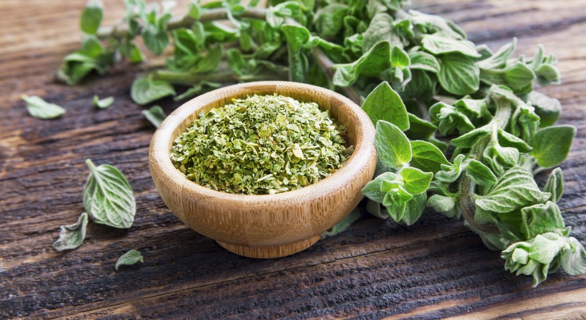 Fresh oregano surrounding a bowl of dried fresh oregano