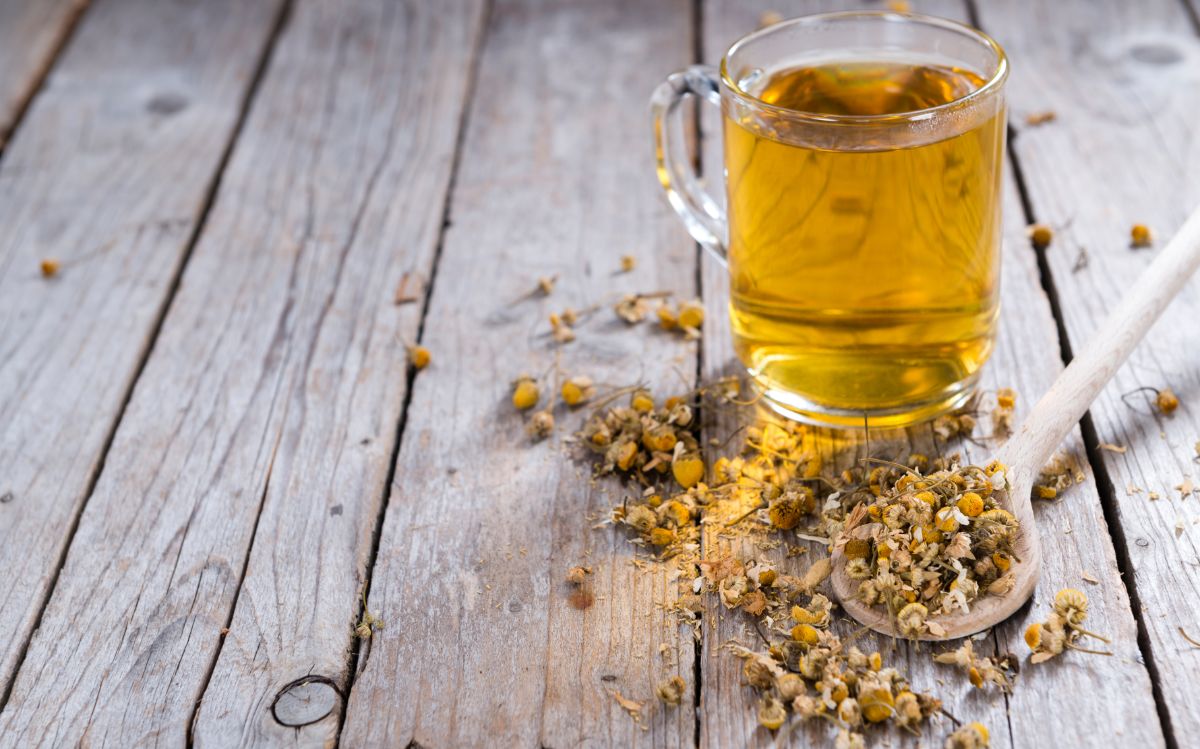 Dried chamomile flowers for tea