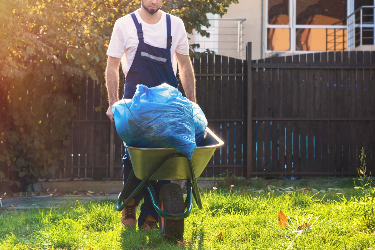 A gardener takes away old plant debris in a wheelbarrow