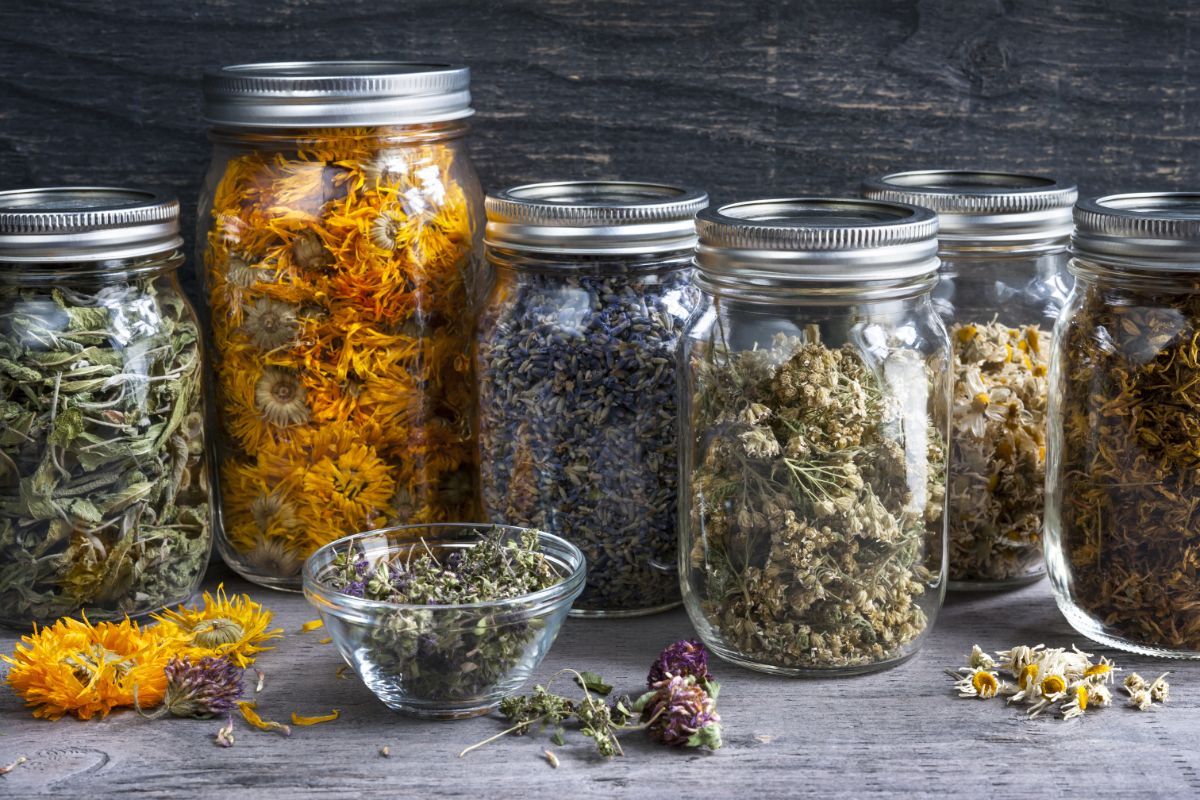 Mason jars filled with homegrown dried herbs