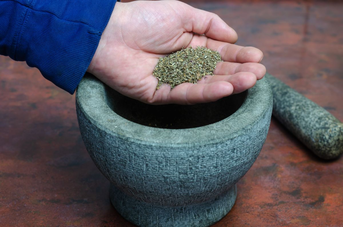 Dried herbs in a mortar and pestle