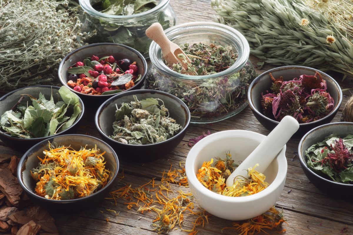 Bowls of pretty dried homegrown herbs