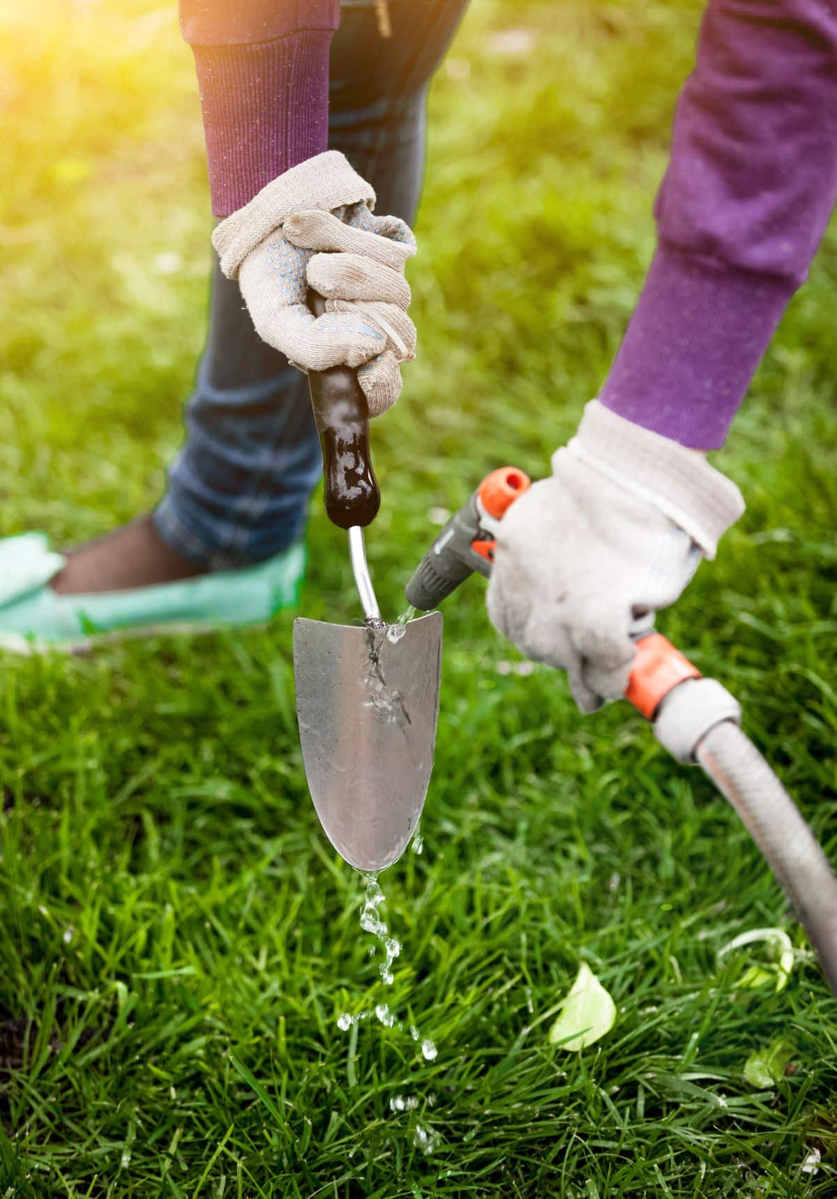 A gardener cleans a trowel after use to help prevent disease spread