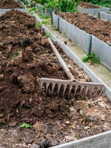 cropped-13-manure-vegetable-garden.jpg