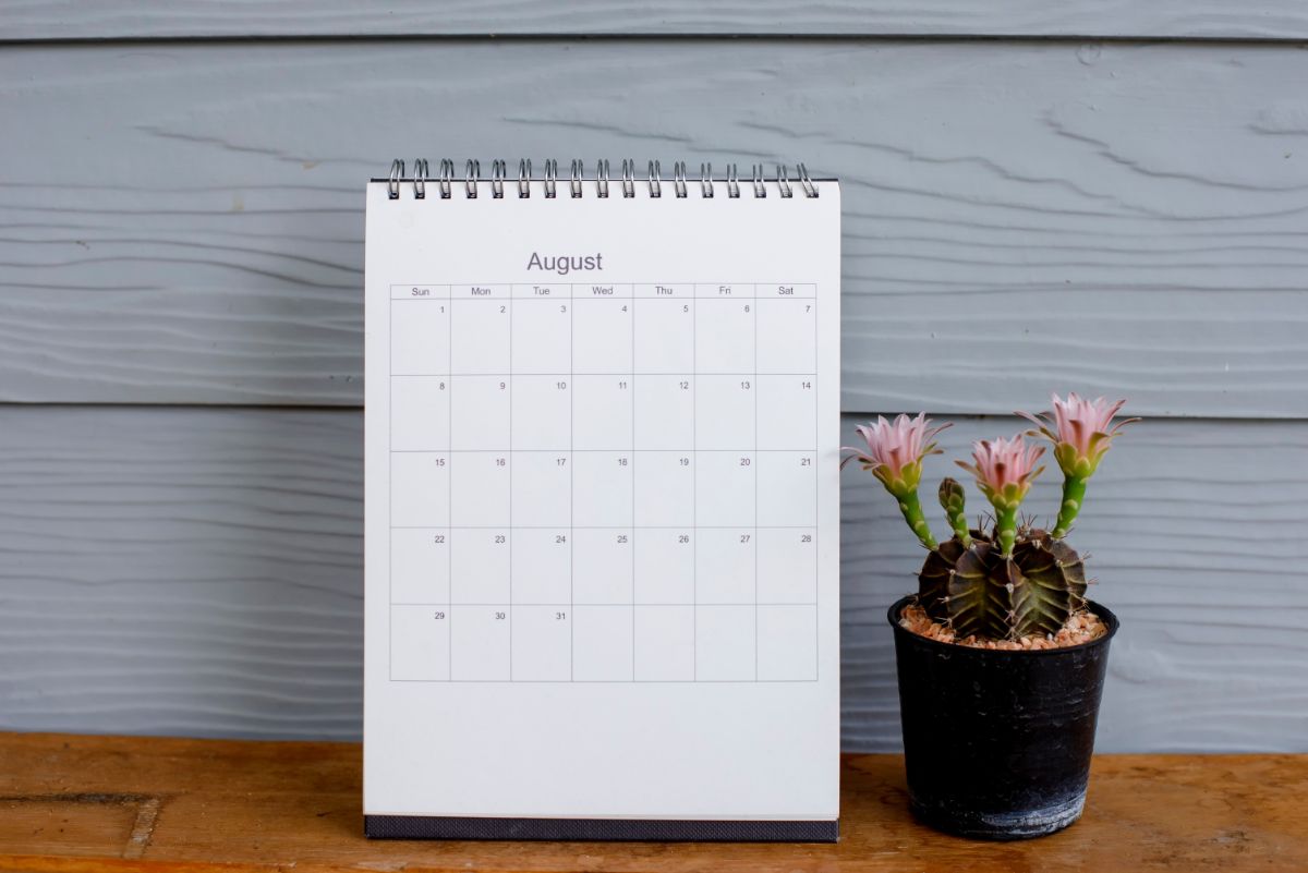 August garden calendar page next to a potted cactus