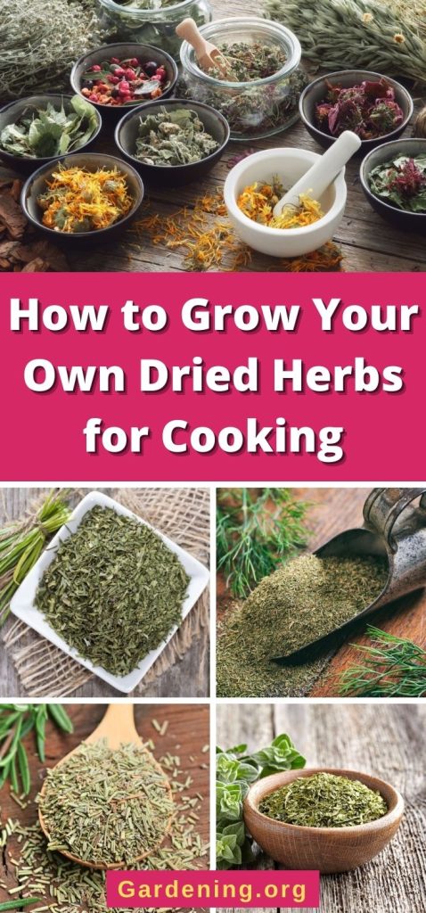 How to Grow Your Own Dried Herbs for Cooking pinterest image.