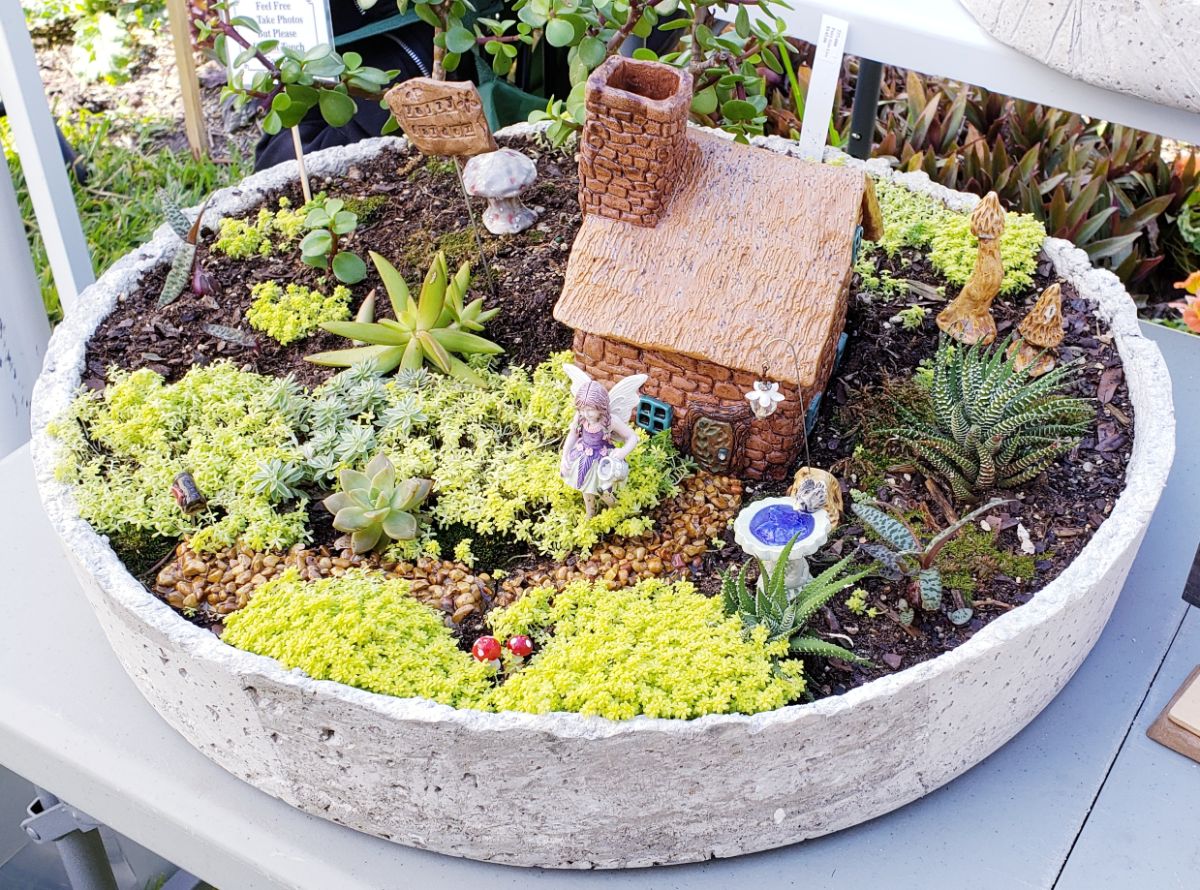 A creative indoor fairy garden with a mini cottage and garden accents