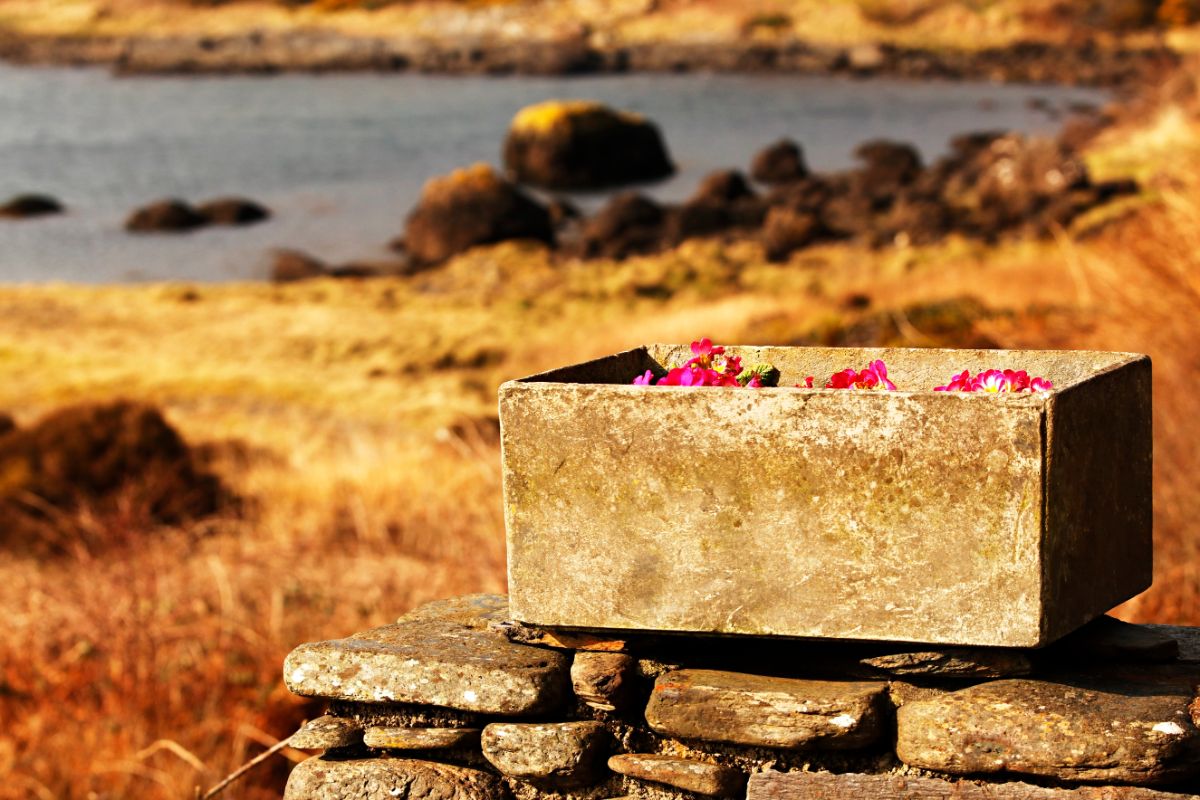 A flower-filled stone planter