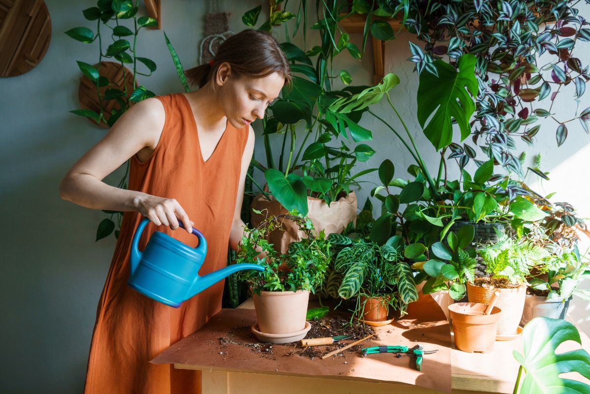 A woman repotting her houseplants