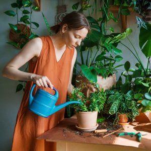 Young woman watering a houseplants on a table.