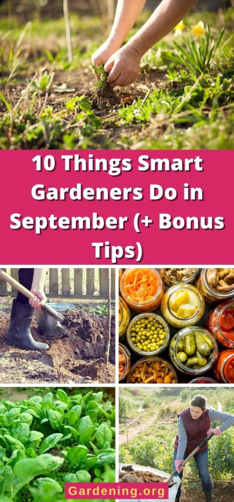 10 Things Smart Gardeners Do in September (+ Bonus Tips) pinterest image.