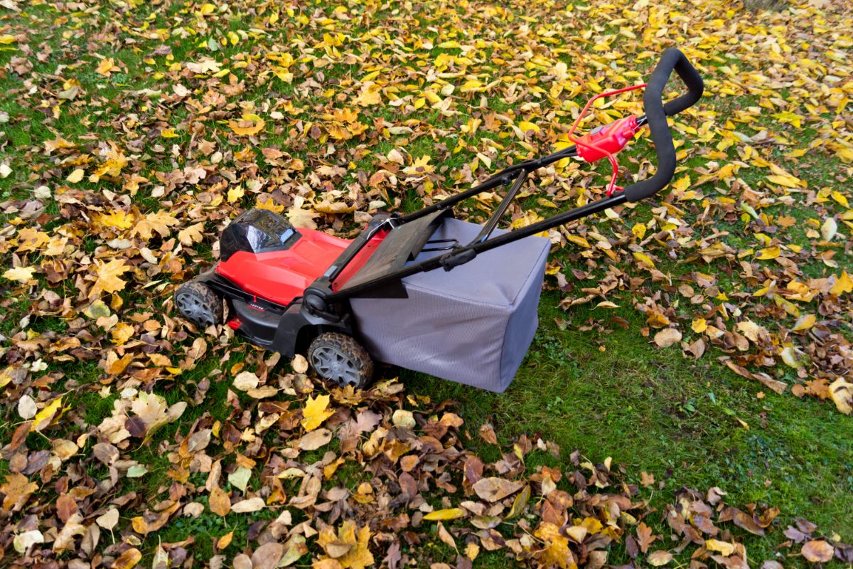 Mowing the lawn and leaves with a mulching blade