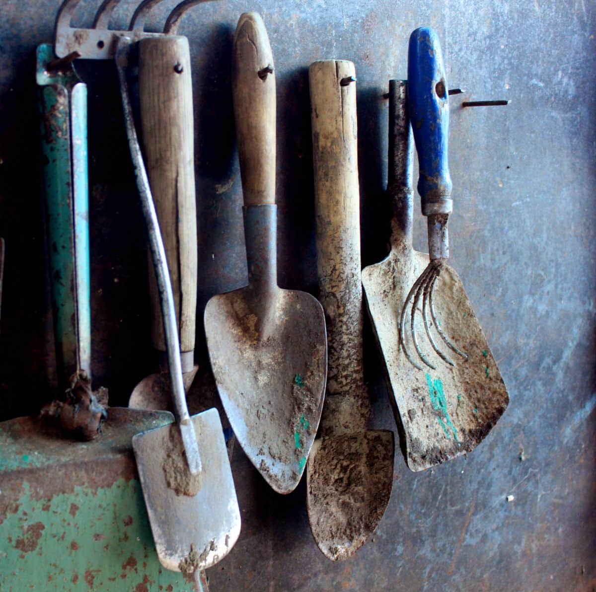 Dirty garden tools stored improperly