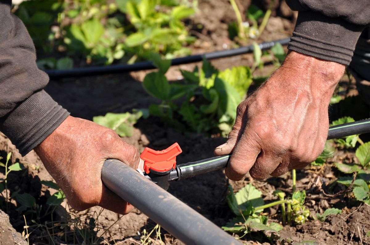 Draining irrigation lines to prevent winter damage