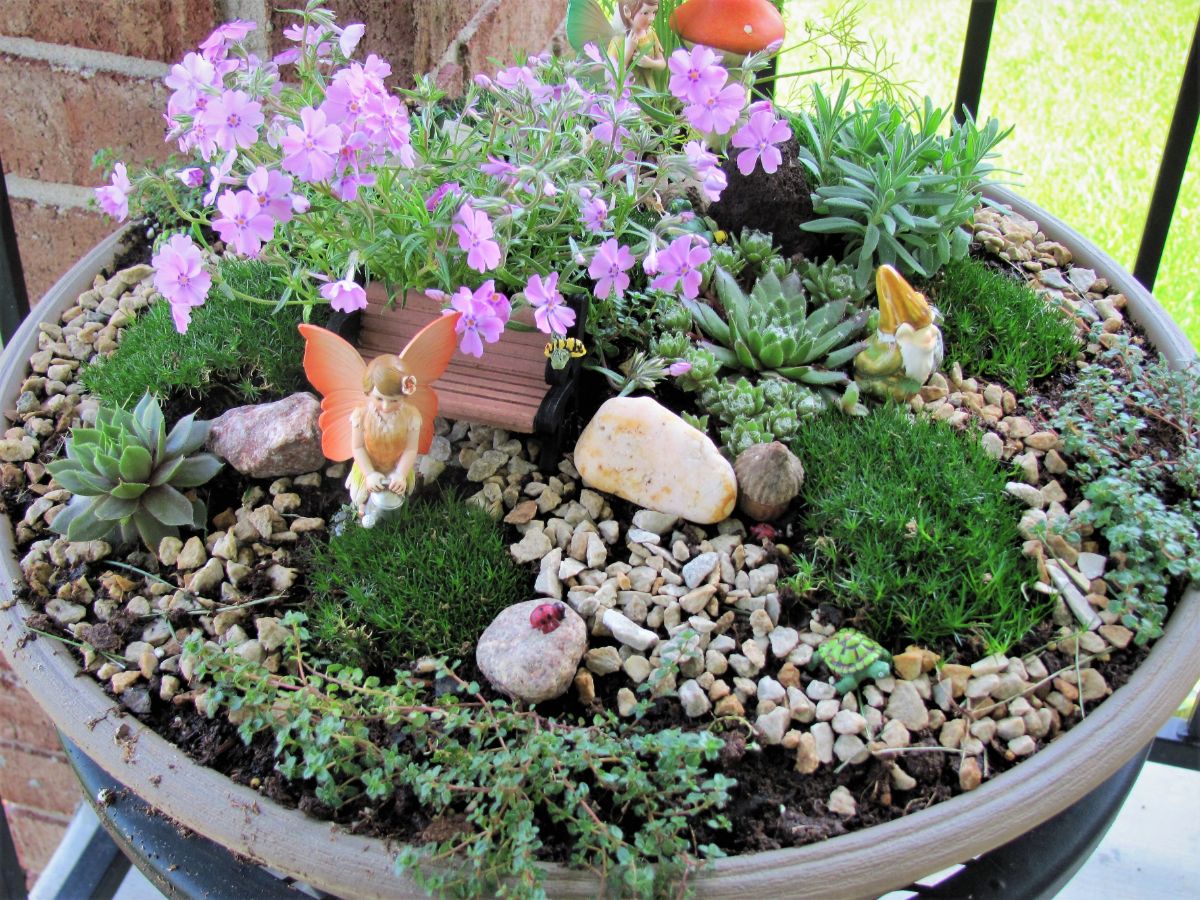 An indoor potted fairy garden with small plants, features, and stone pebble paths
