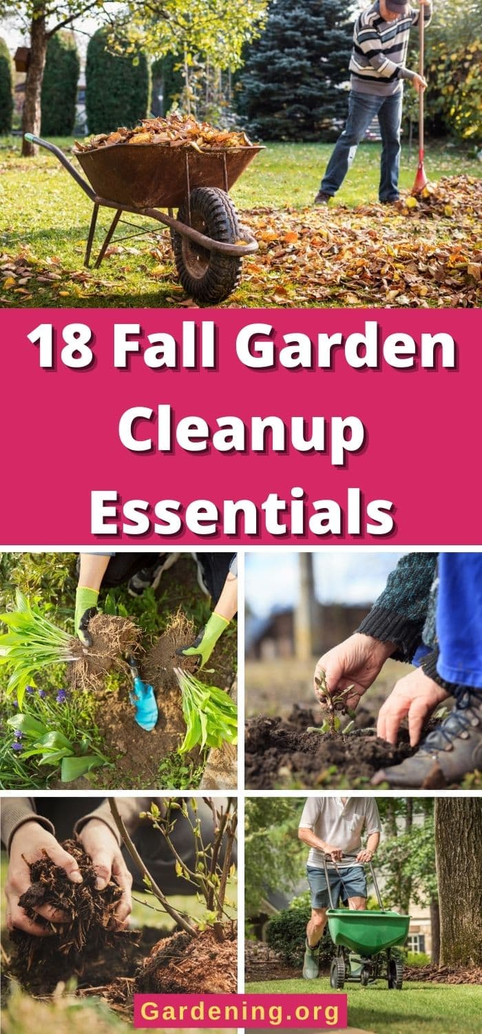 Fall Leaner 18 Fall Garden Cleanup Essentials - Gardening