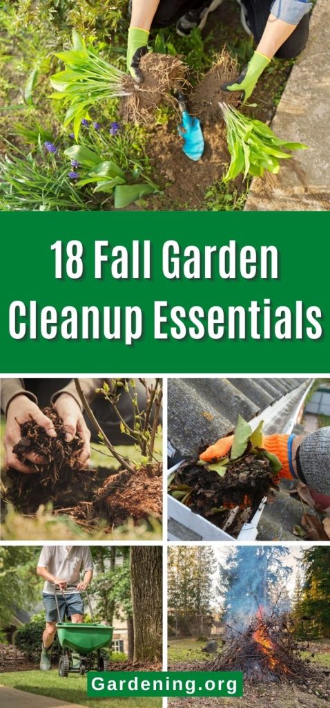 18 Fall Garden Cleanup Essentials pinterest image.