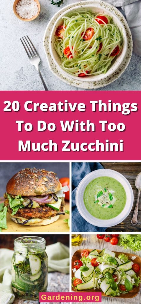 20 Creative Things To Do With Too Much Zucchini pinterest image.