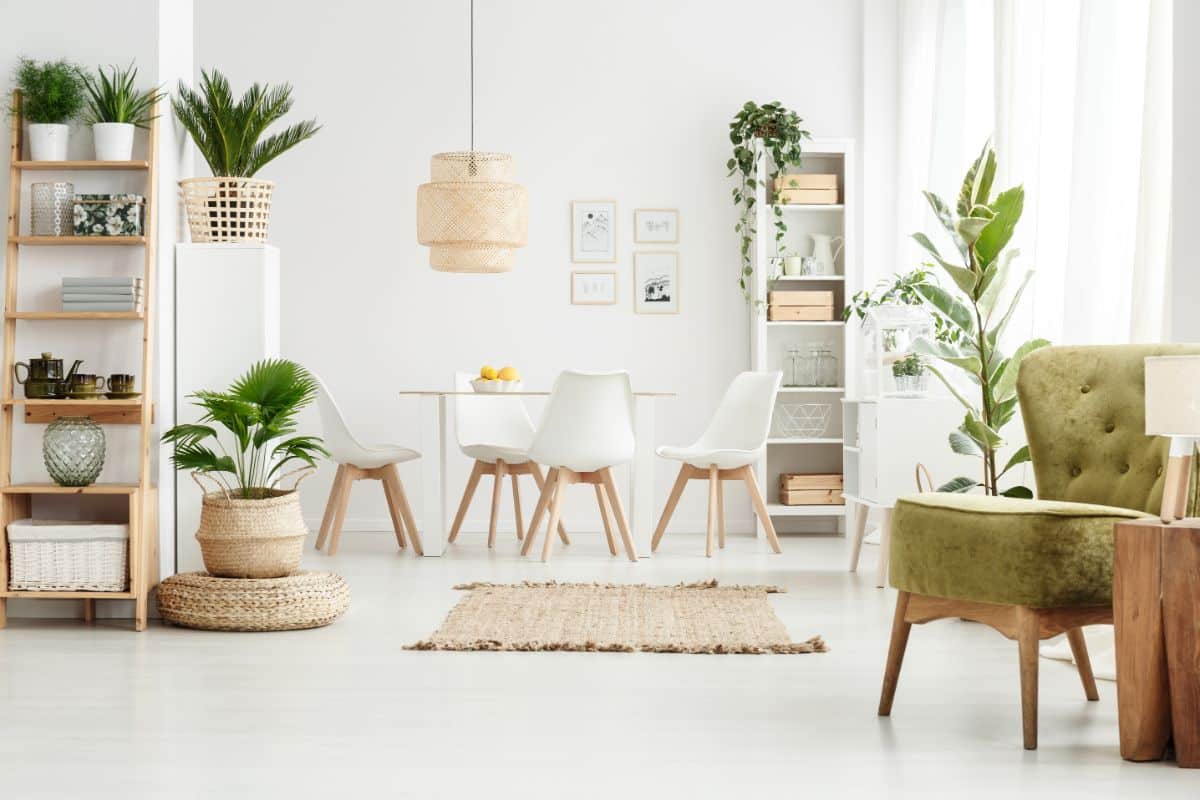 Houseplants add interest and color to plain home interiors