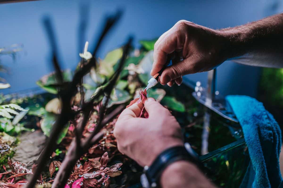 A fairy gardener gluing elements for inclusion in the fairy garden