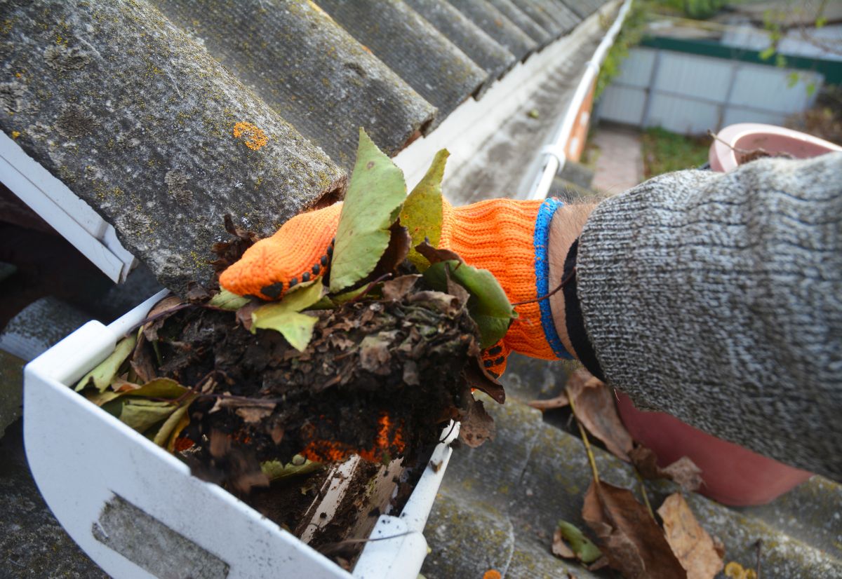 A gloved hand cleaning detritus from a garden shed gutter