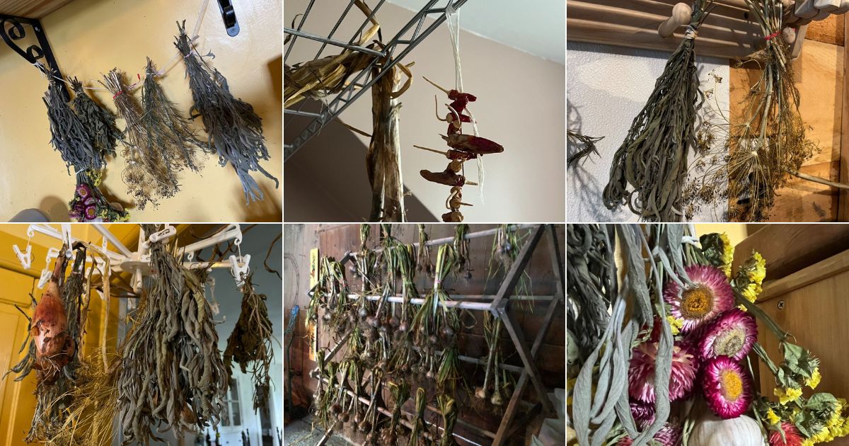 6 images of diy herb drying racks.
