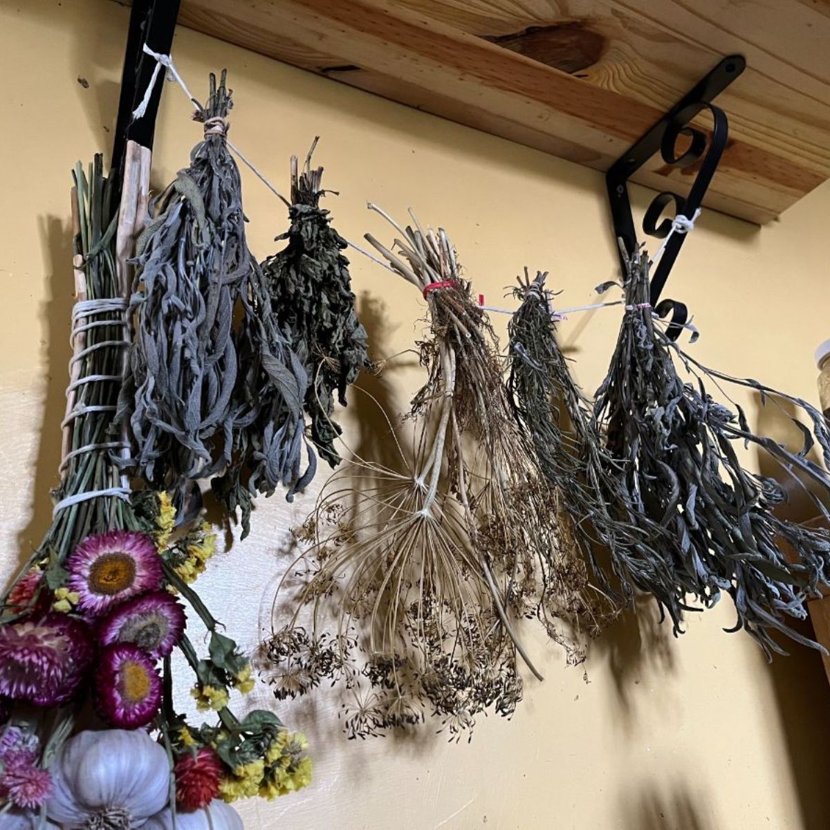 DIY Herb Drying Rack for Hang Drying Herbs and Flowers - The