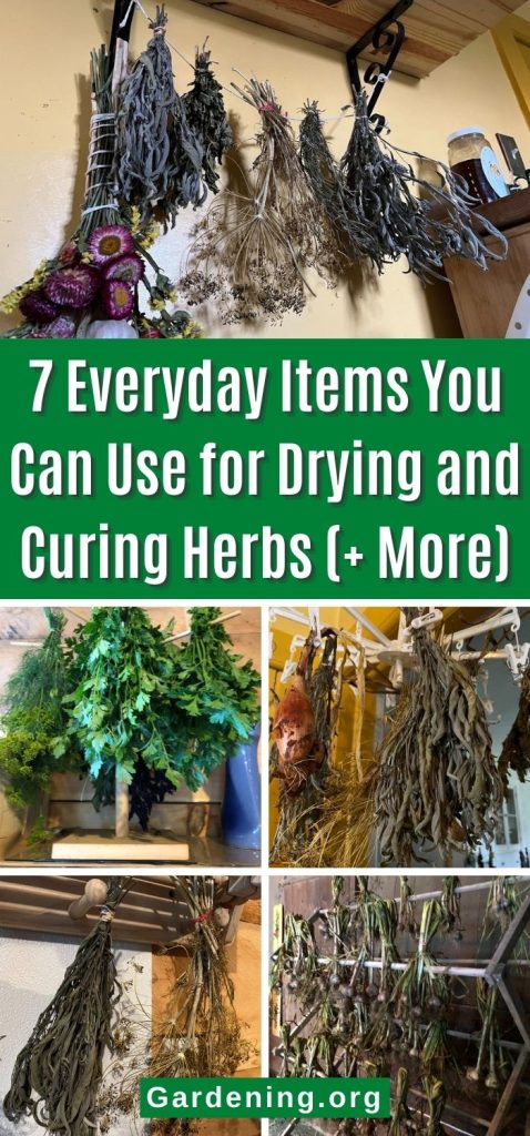 7 Everyday Items You Can Use for Drying and Curing Herbs (+ More) pinterest image.