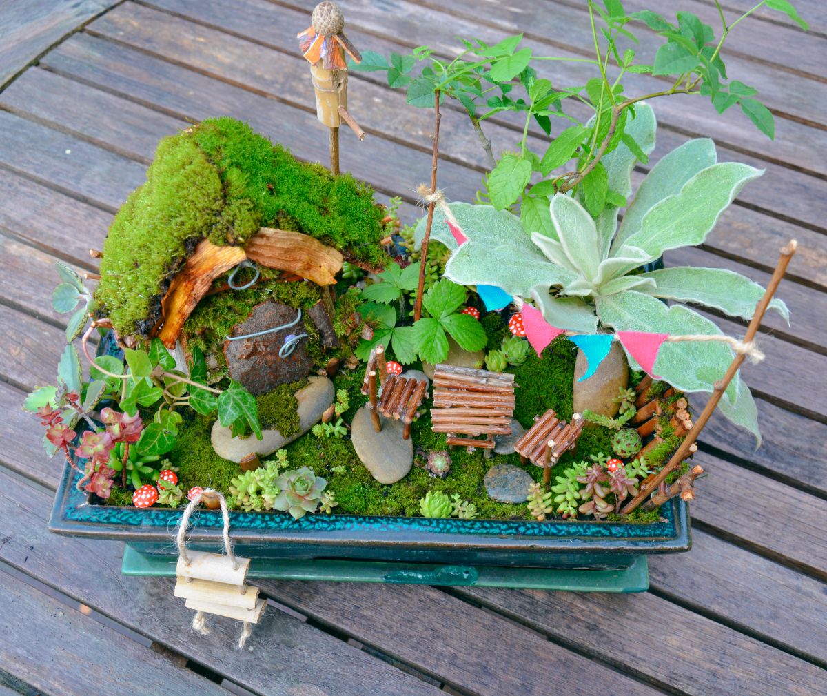 A fairy garden created with a variety of small plants