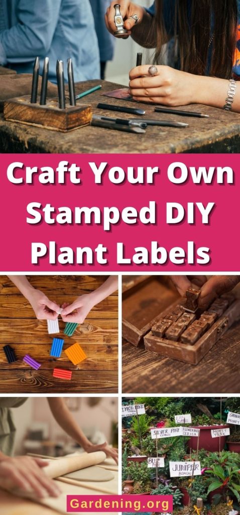 Craft Your Own Stamped DIY Plant Labels pinterest image.
