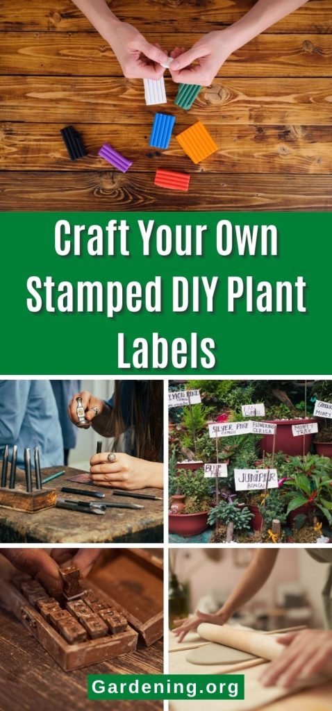 Craft Your Own Stamped DIY Plant Labels pinterest image.