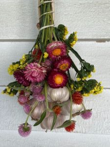 DIY hardneck garlic bundle.