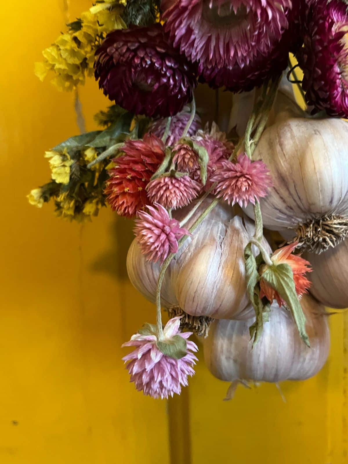 Closeup view of a decorative hanging garlic bundle